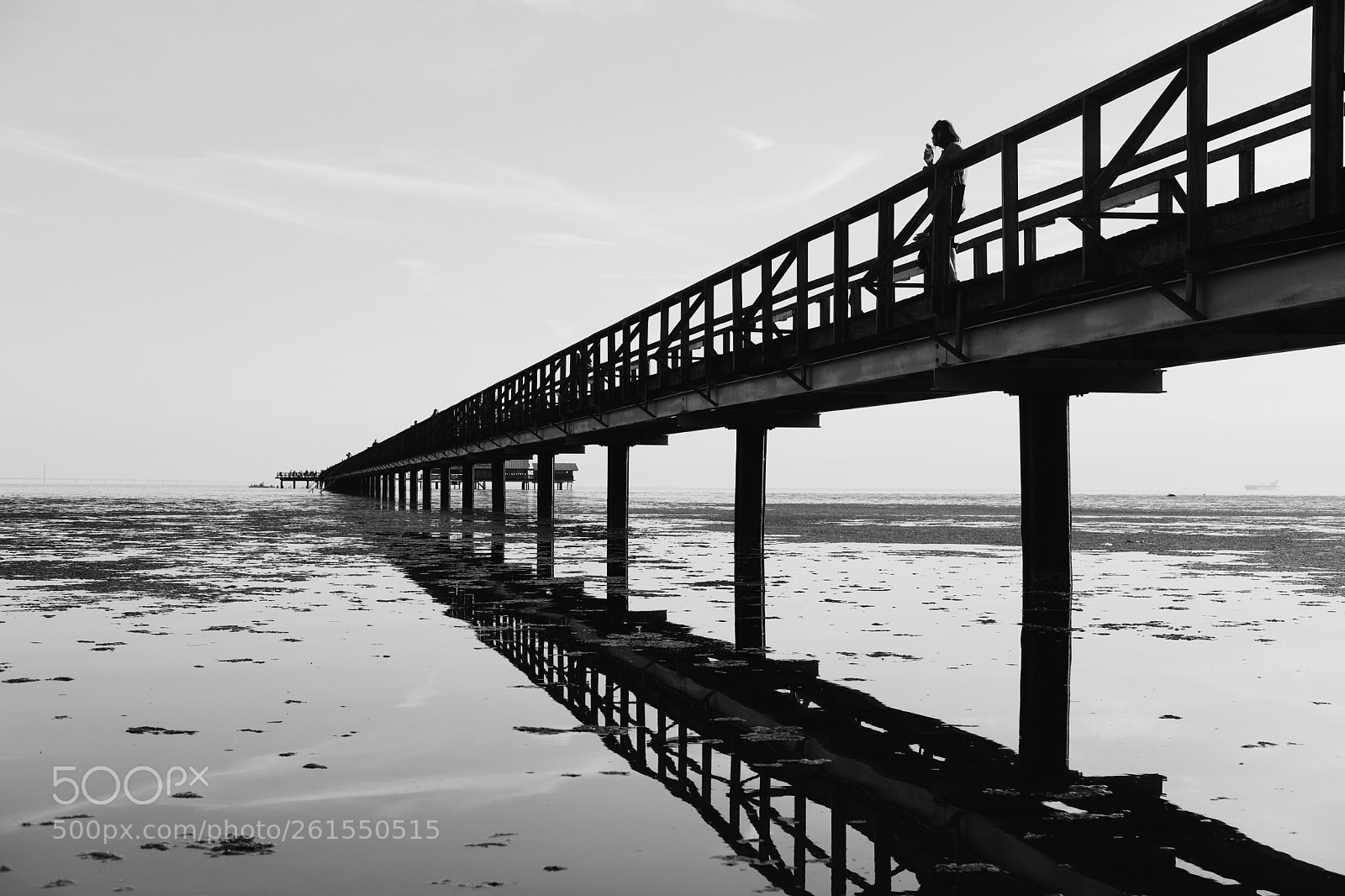 Fujifilm X-T2 sample photo. The pier photography