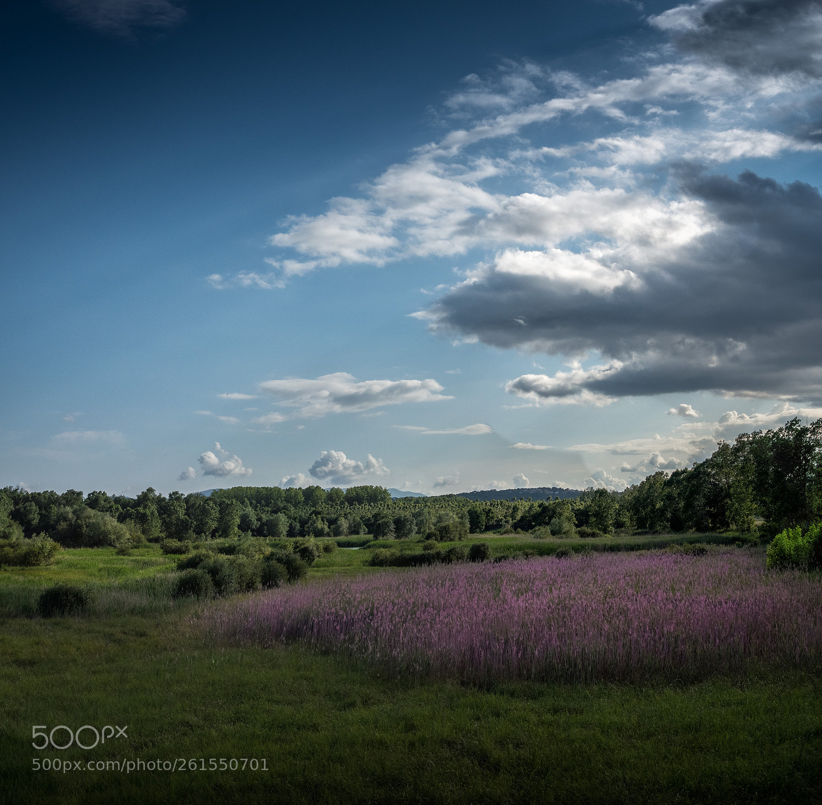 Sony Cyber-shot DSC-RX100 IV sample photo. Estanys de sils photography
