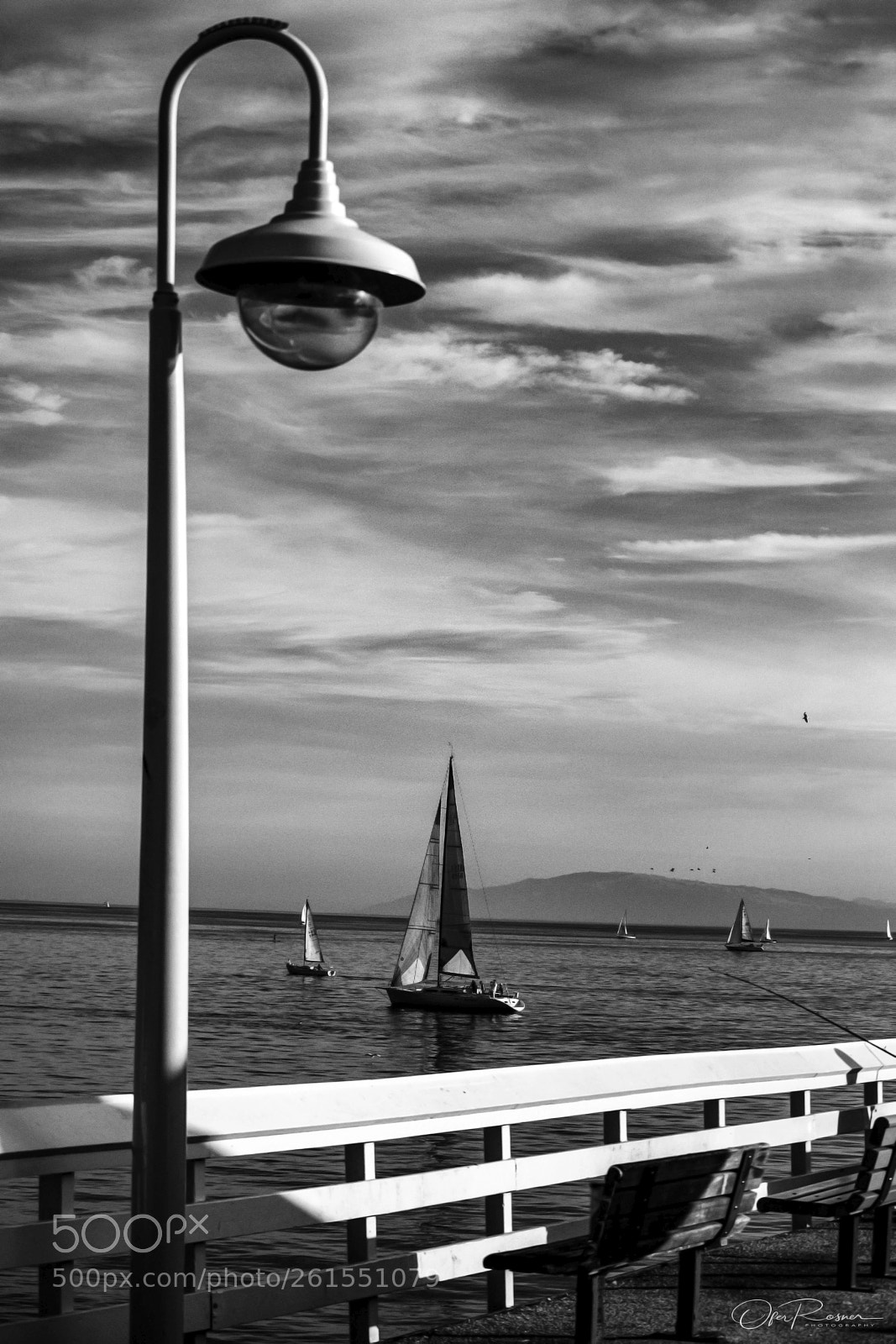 Canon EOS 77D (EOS 9000D / EOS 770D) sample photo. B w - on photography