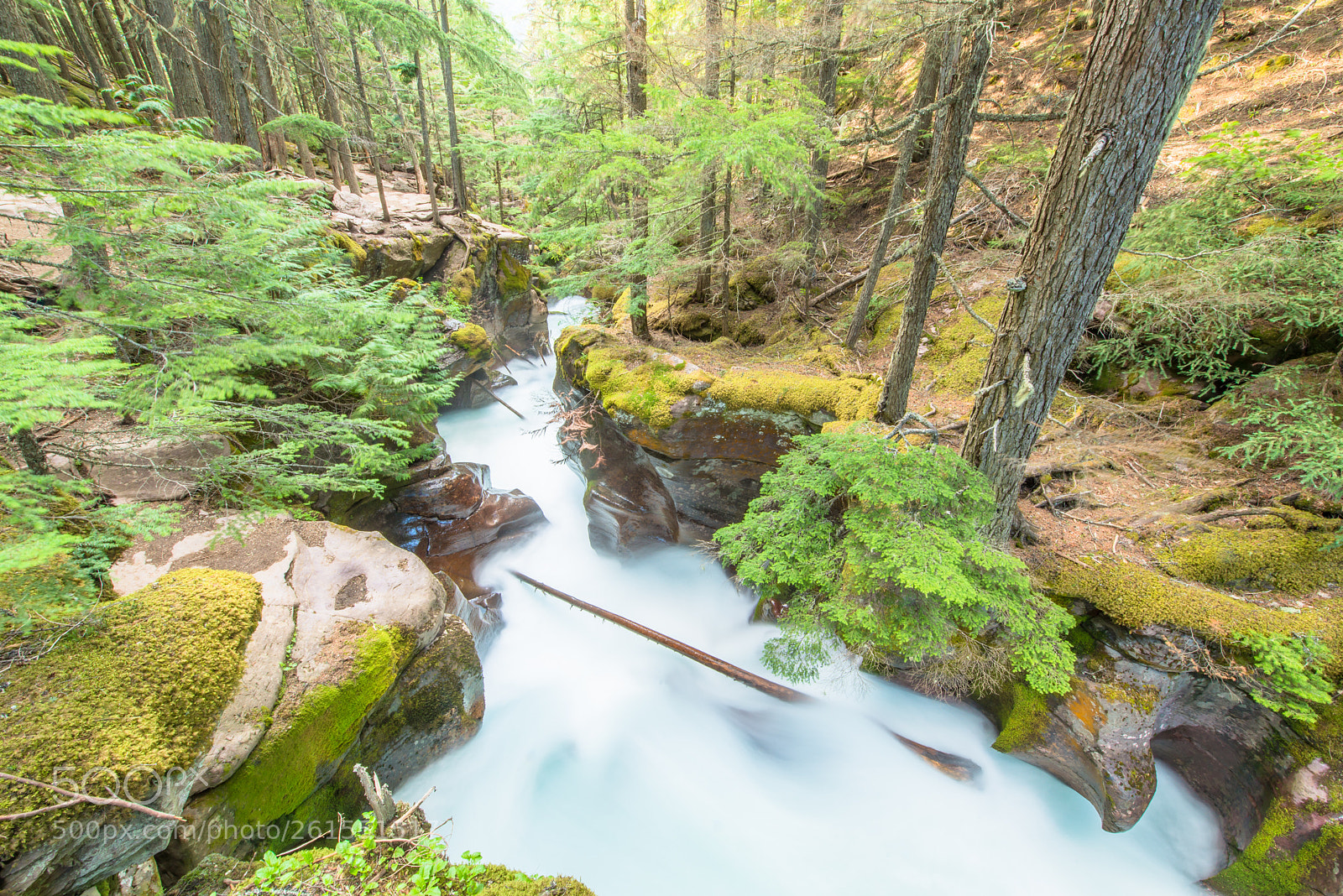 Nikon D800 sample photo. The canyon photography