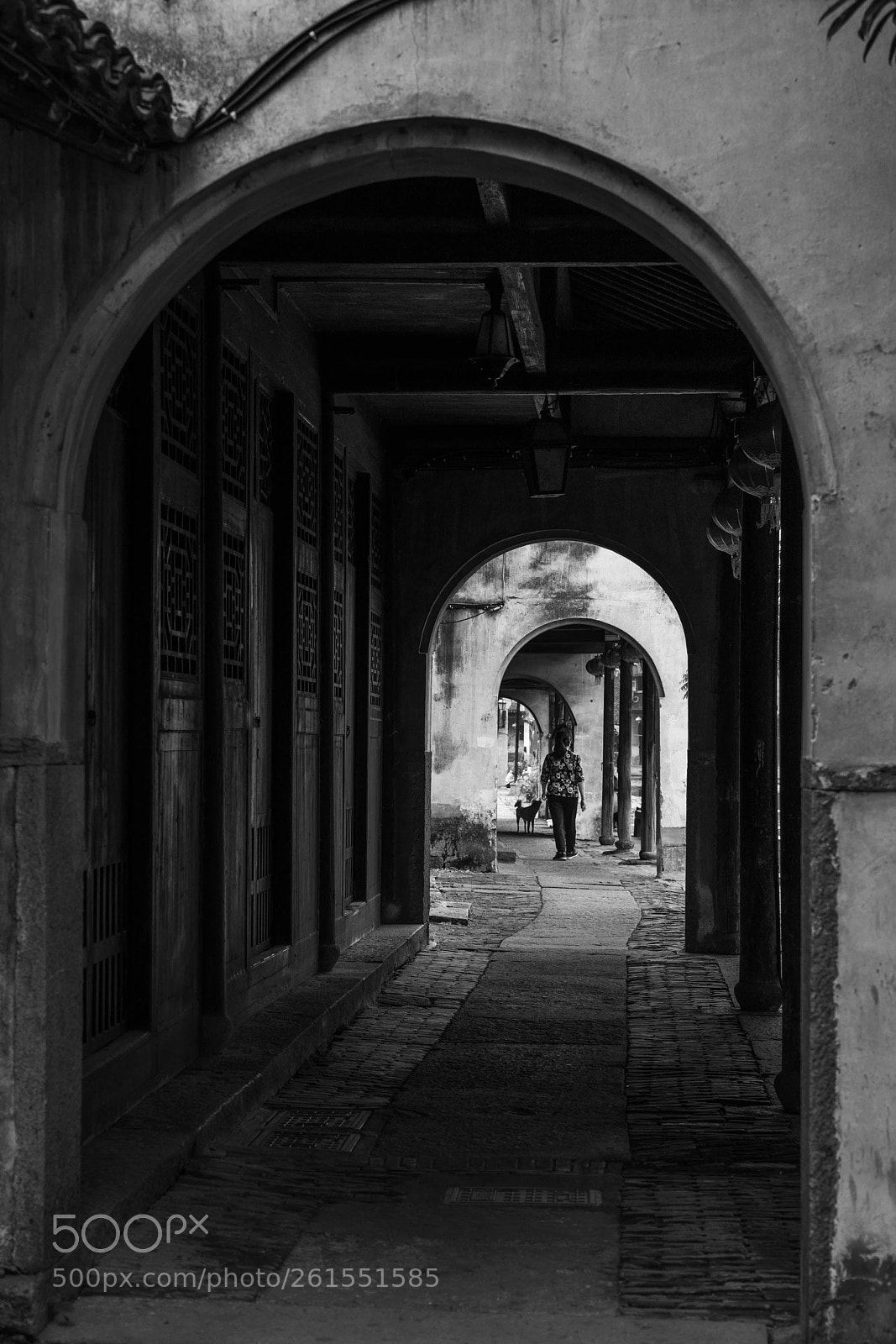 Sony a7R III sample photo. Untitled photography
