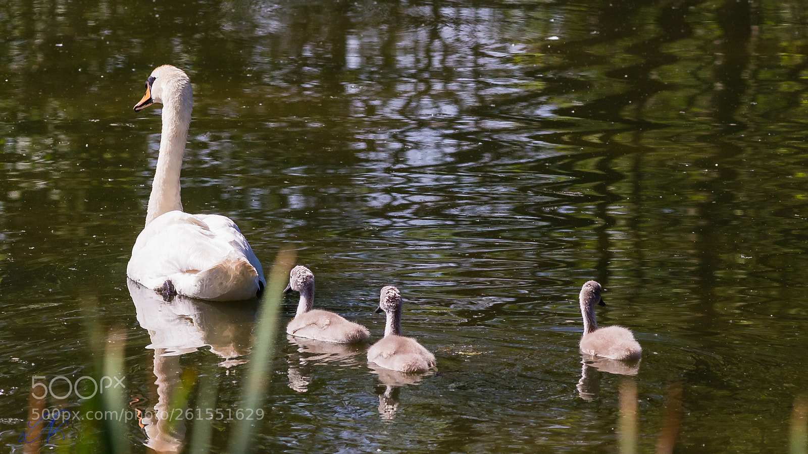 Canon EOS 6D sample photo. Family trip photography