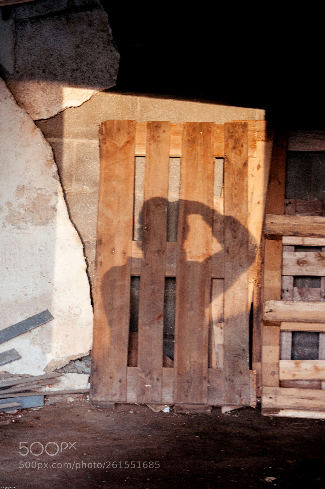 Nikon D5000 sample photo. Sombra photography