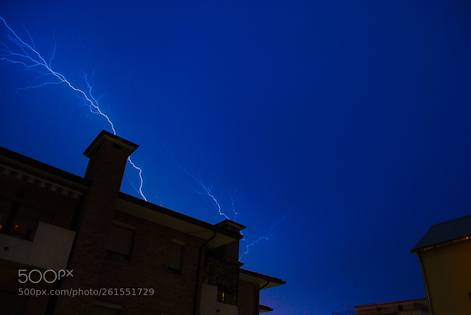 Nikon D3000 sample photo. Electric blue photography