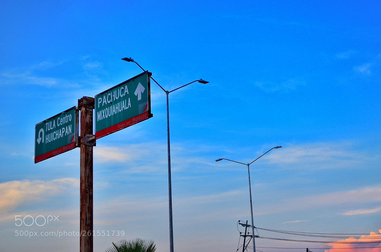 Nikon D5100 sample photo. Untitled photography