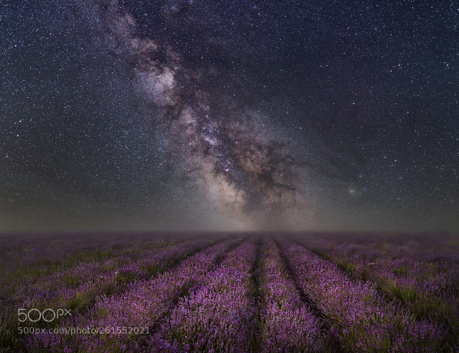 Canon EOS 6D sample photo. Provence and milkyway stars photography