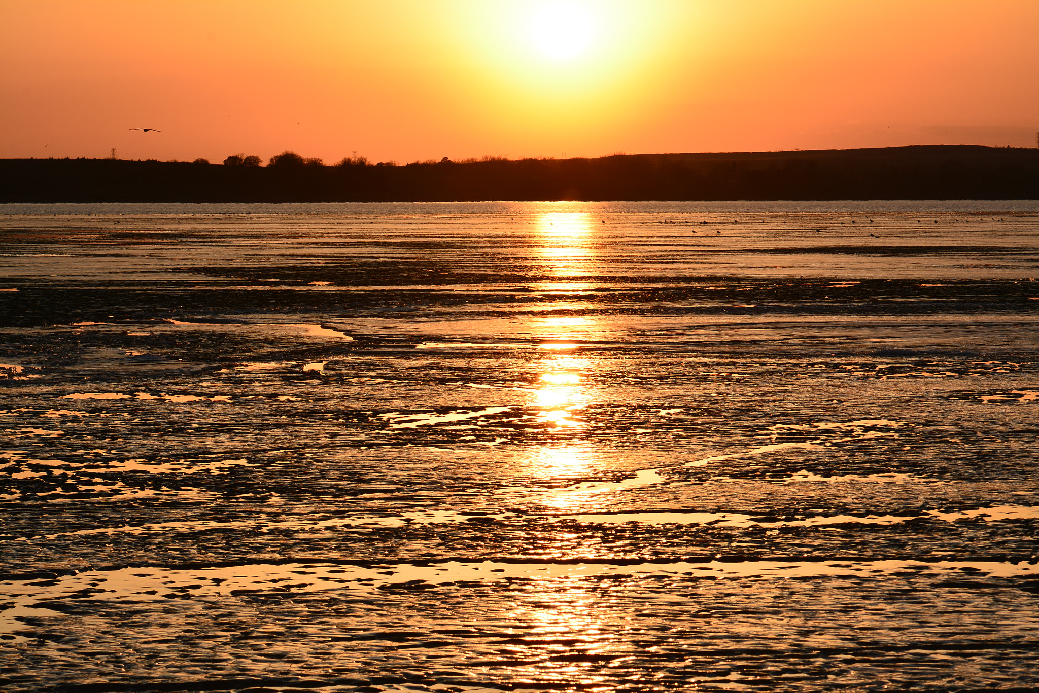 Nikon AF-S Micro-Nikkor 105mm F2.8G IF-ED VR sample photo. Iced over photography