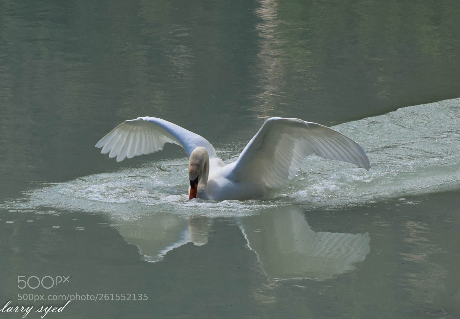 Nikon D3300 sample photo. Lago di dobbiaco photography