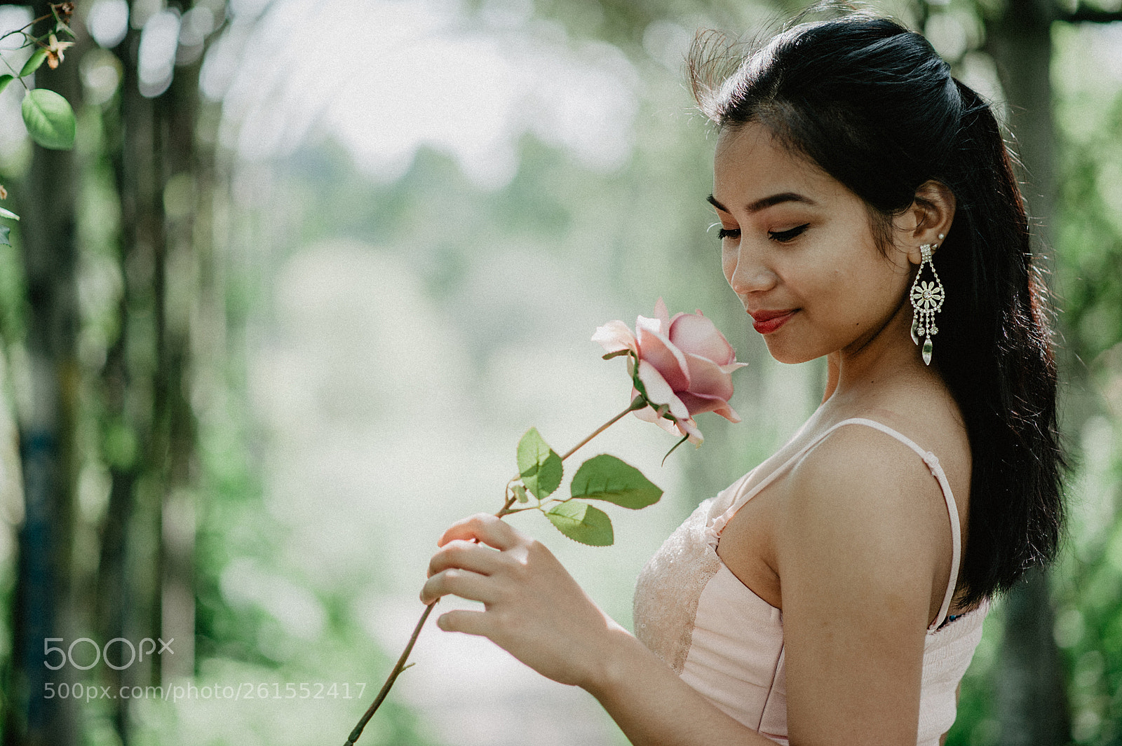 Nikon D700 sample photo. Rose photography