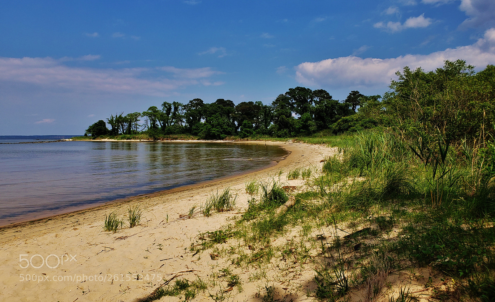 Samsung Galaxy S9+ sample photo. Ferry point beach scene 2018 photography