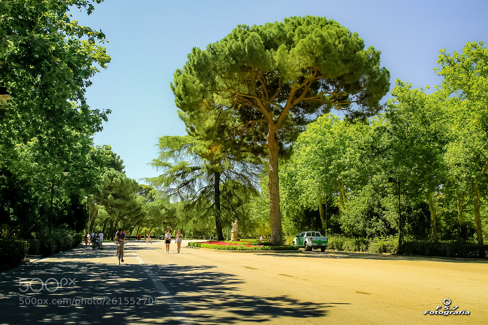 Canon EOS 7D sample photo. Parque del retiro photography