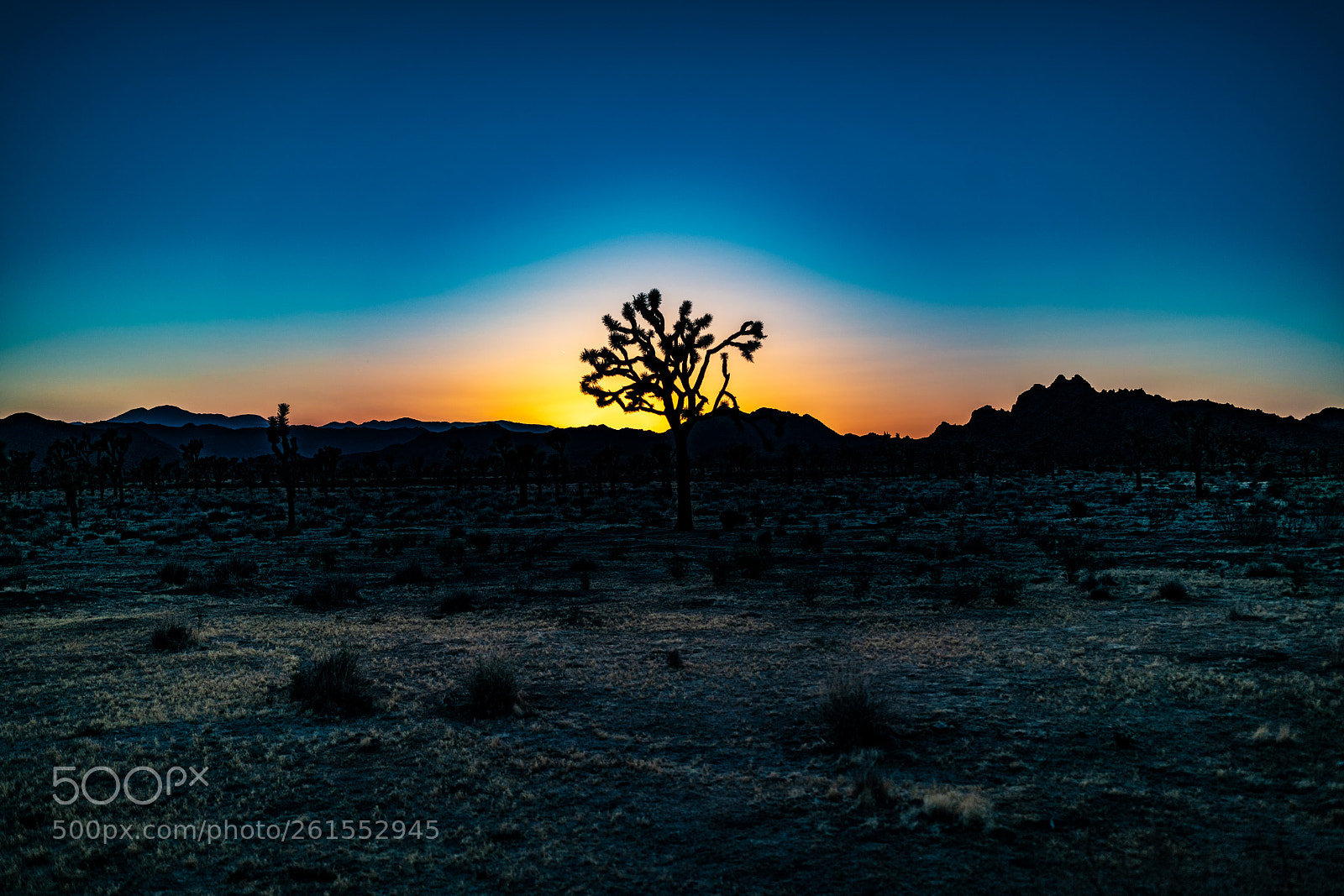 Sony a7R II sample photo. Sunset photography
