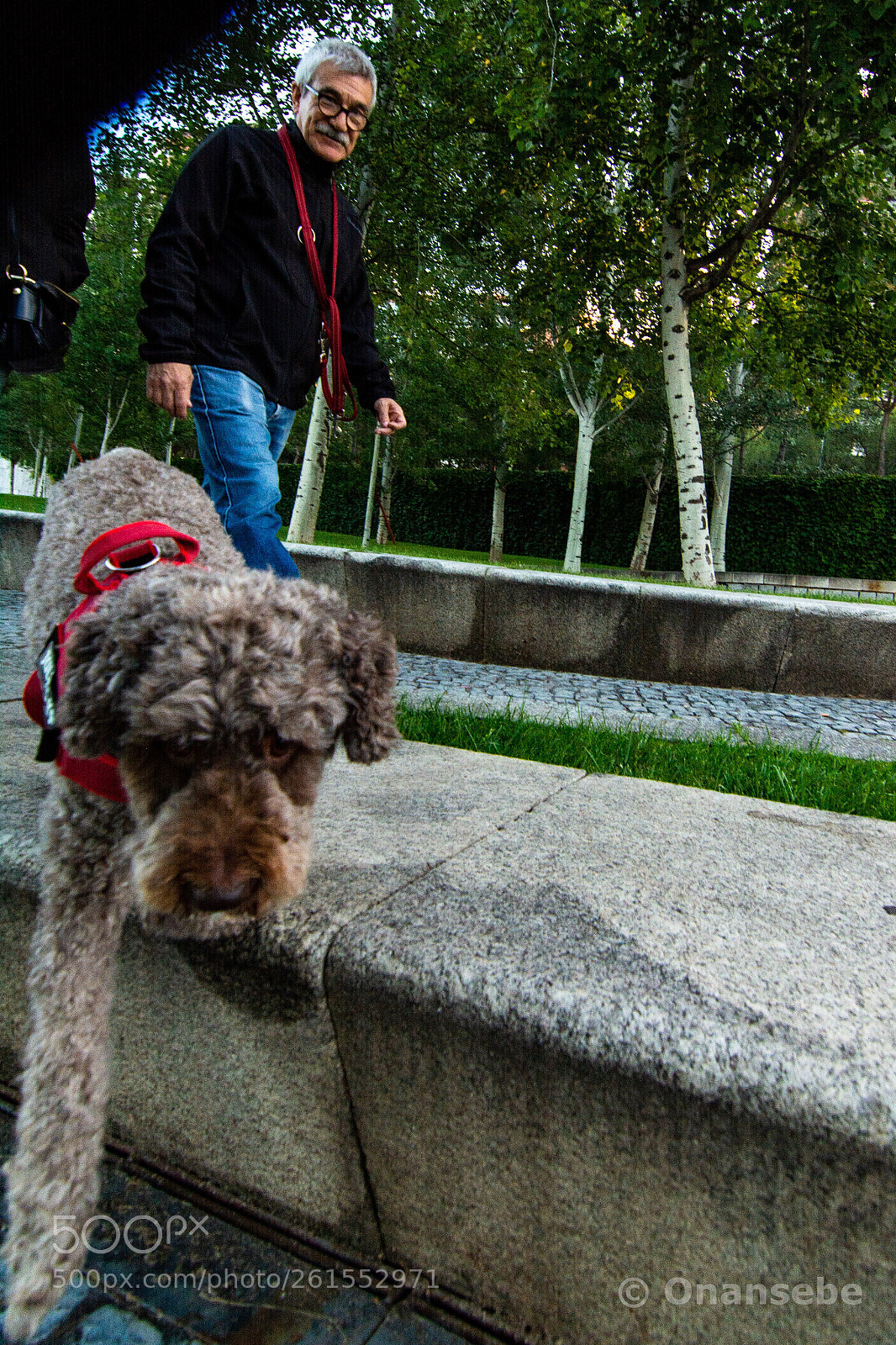 Nikon D5200 sample photo. Bajando photography