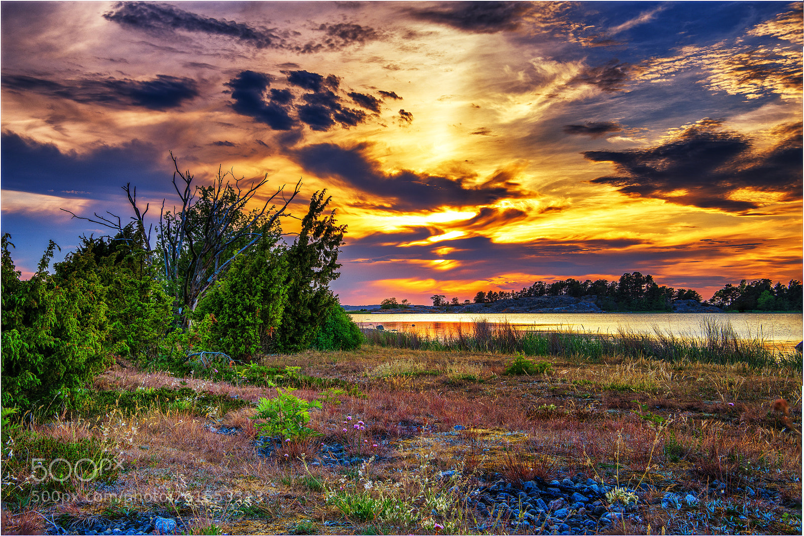 Nikon D850 sample photo. Sweden,torö photography