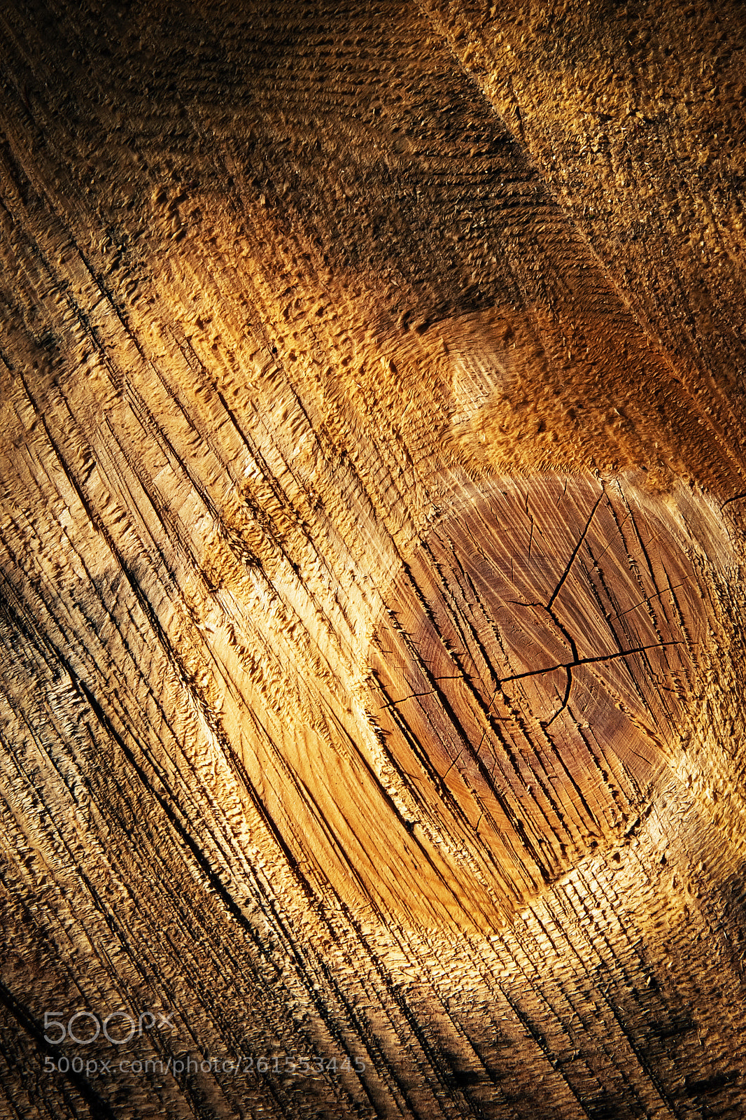 Nikon D5500 sample photo. Surface abstract to sawing photography