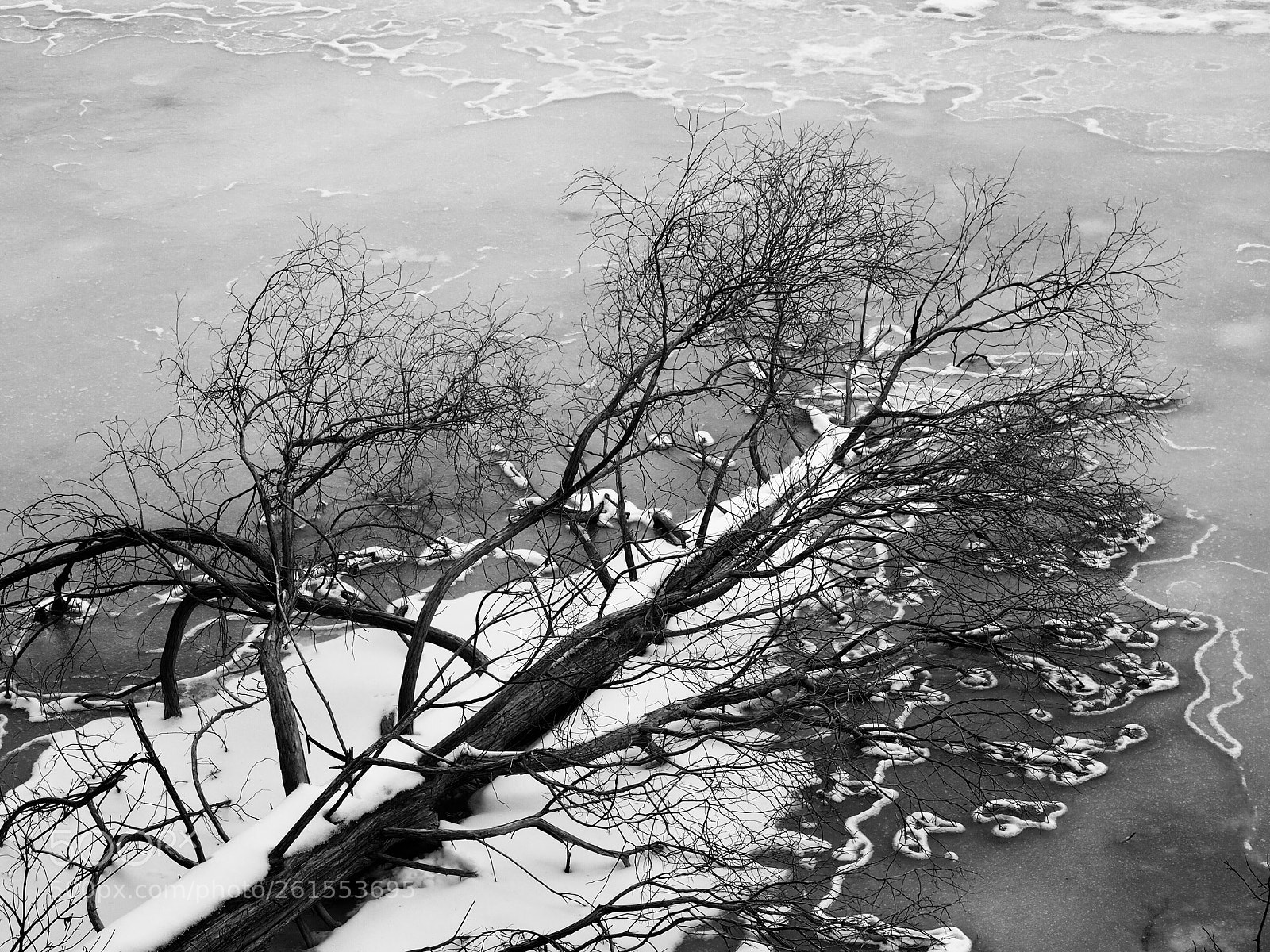 Olympus OM-D E-M5 sample photo. Frozen photography