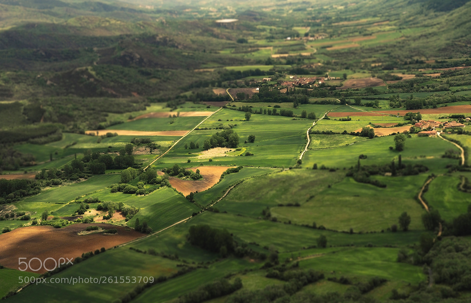 Olympus OM-D E-M5 II sample photo. Primavera en el valle... photography