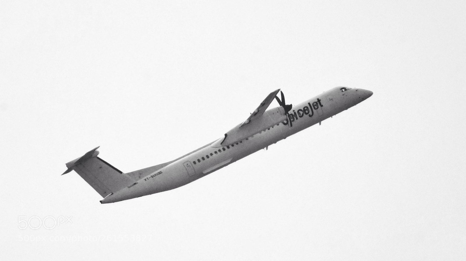 Nikon D7000 sample photo. Taking off. photography