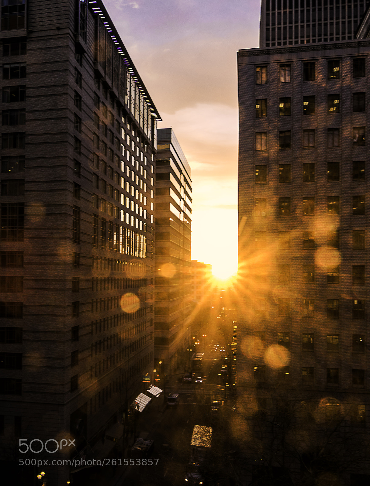 Nikon D3300 sample photo. See the light photography
