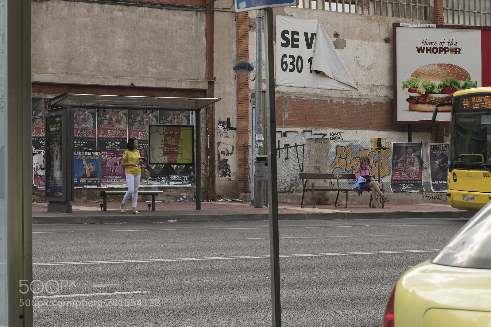 Nikon D5500 sample photo. Yellow photography