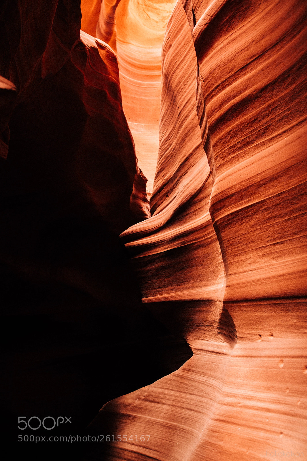 Canon EOS 5D Mark IV sample photo. Shady photography