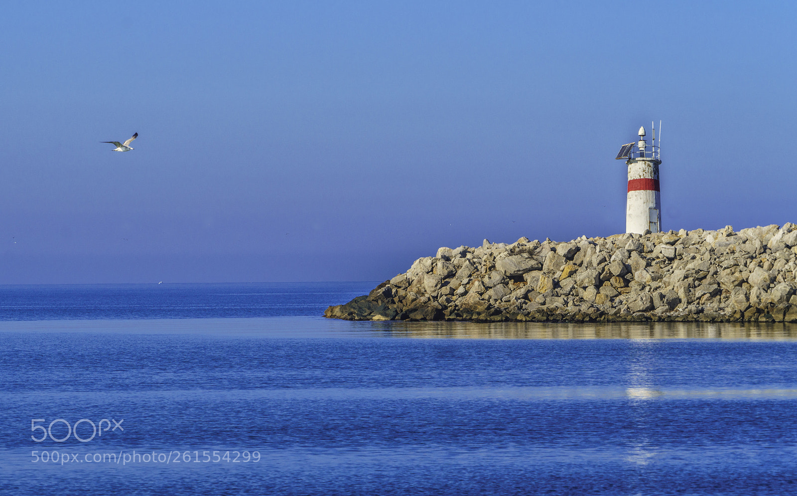 Sony a7R II sample photo. Lighthouse and seagull... photography