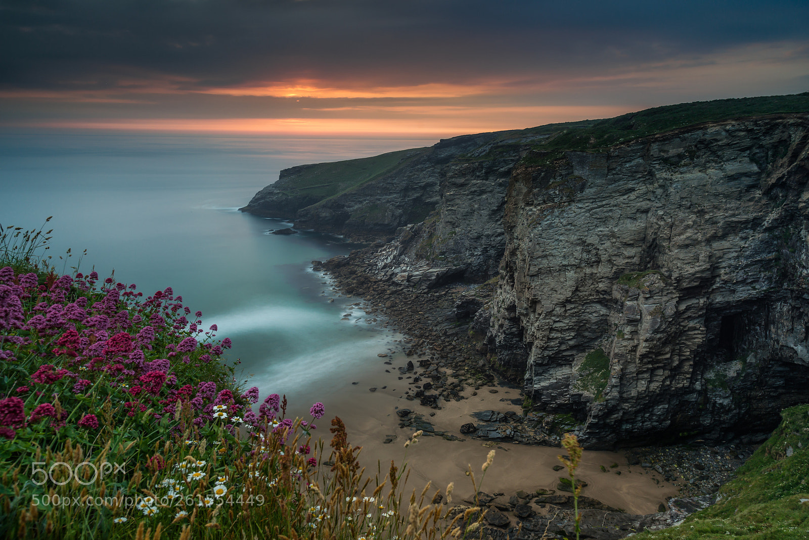 Nikon D610 sample photo. Cliffs near tintagel photography