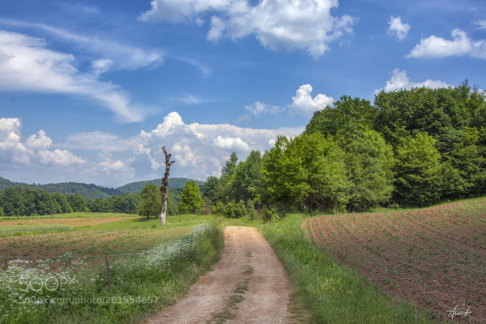 Nikon D7200 sample photo. Natur beauty photography