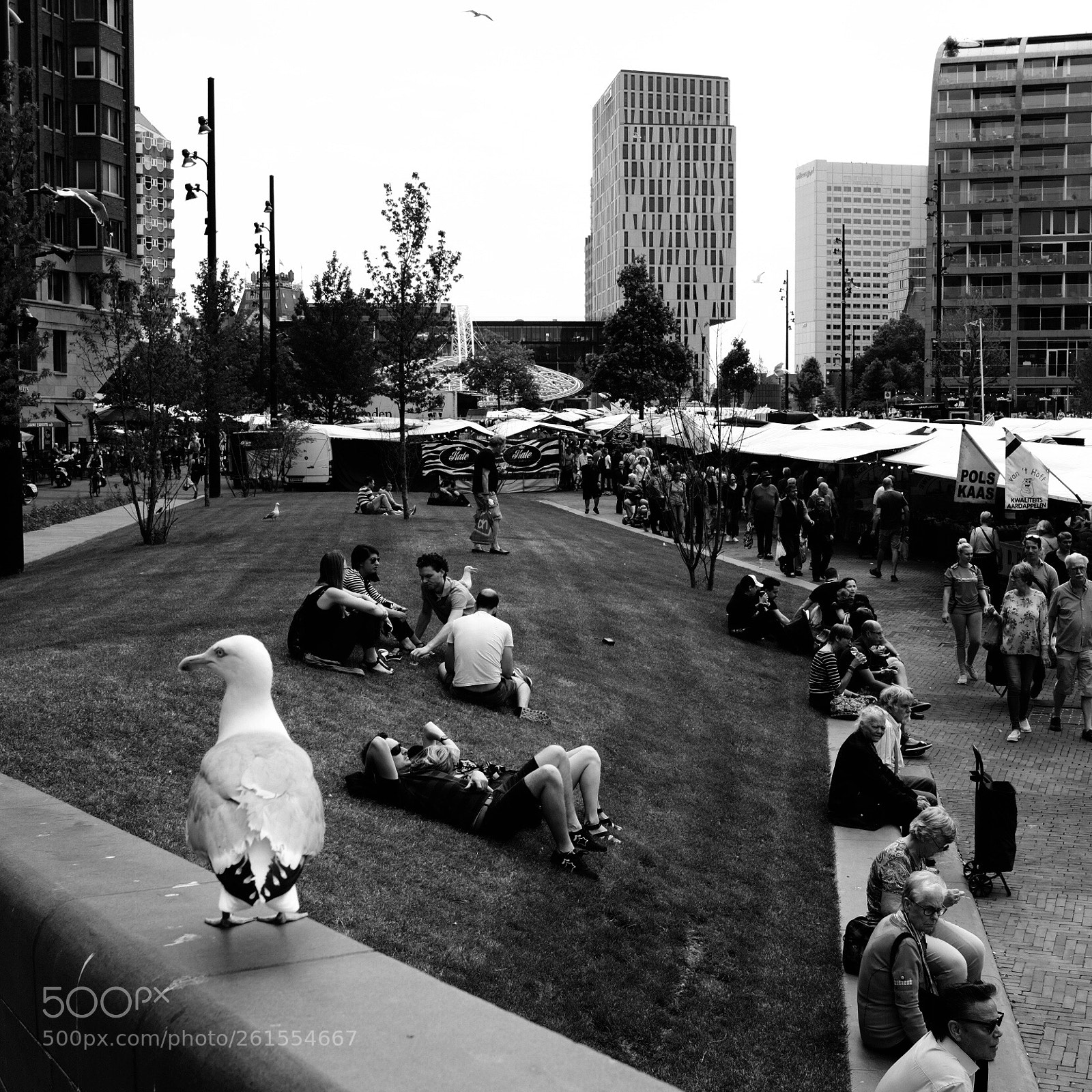 Fujifilm X100F sample photo. Rotterdam photography