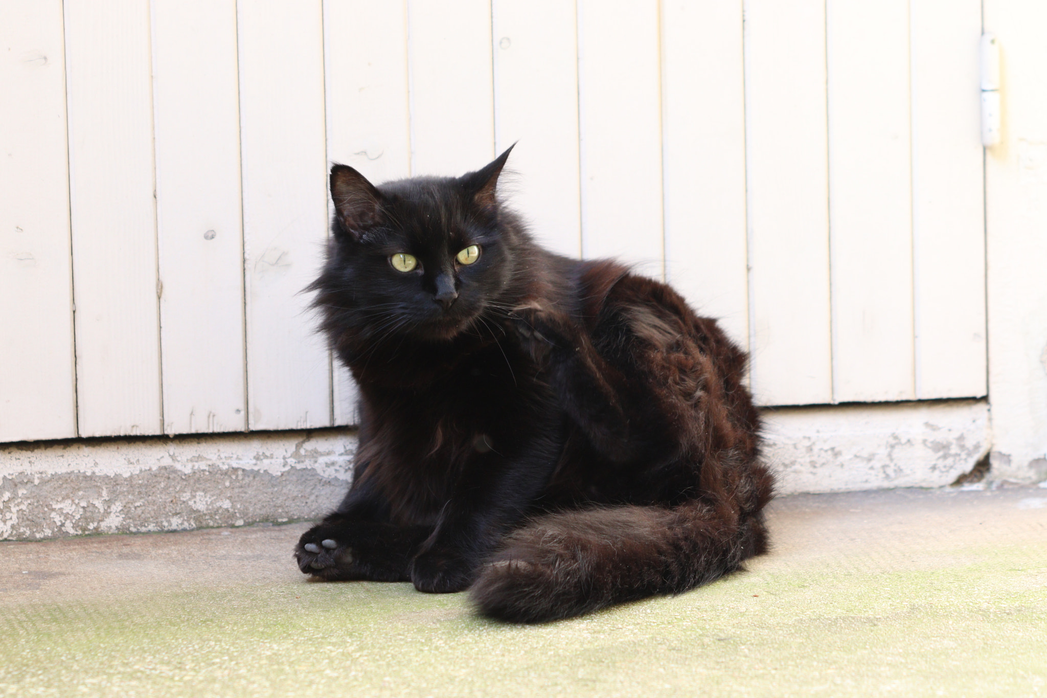 Canon EOS 77D (EOS 9000D / EOS 770D) sample photo