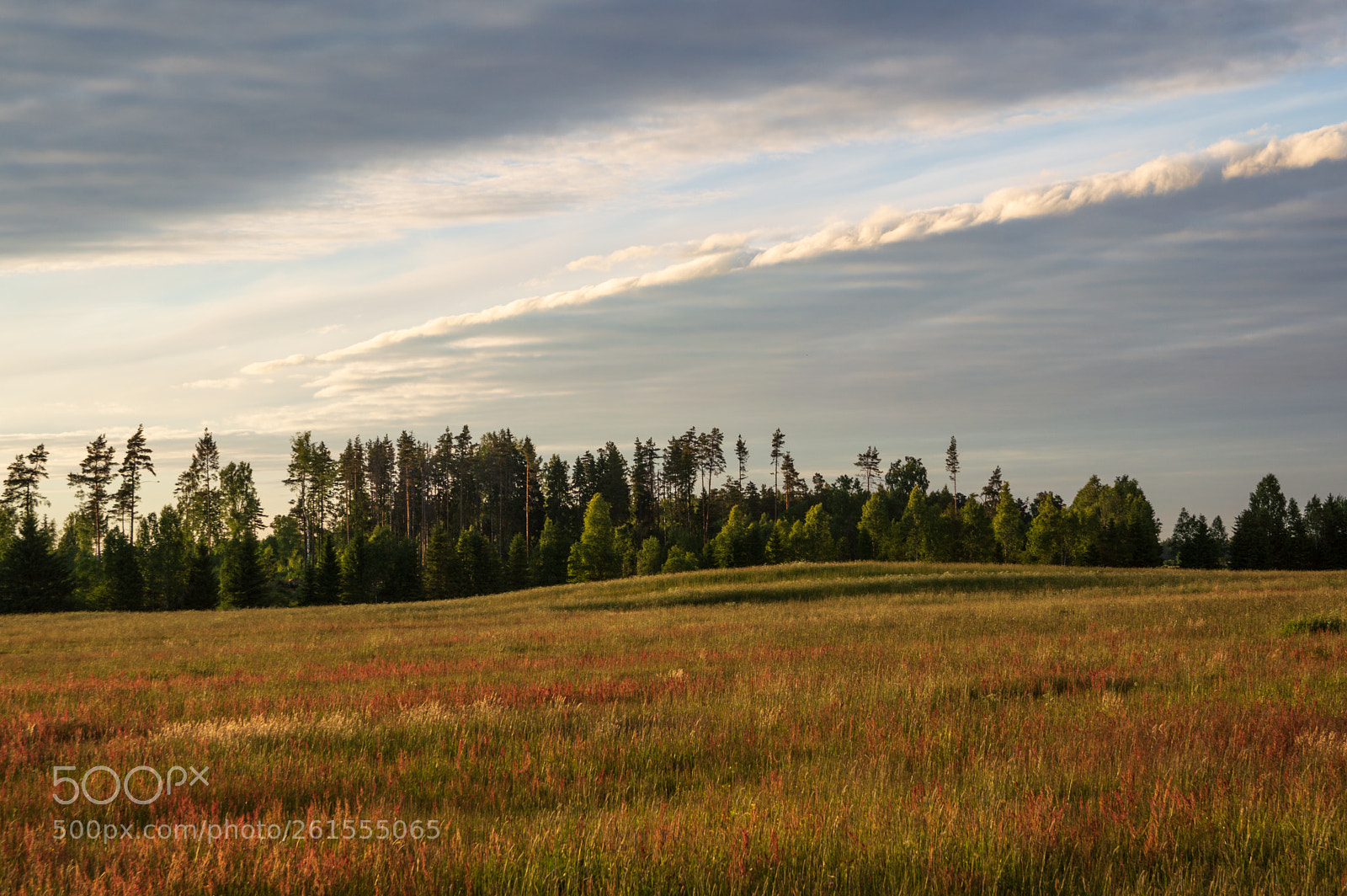 Nikon D3200 sample photo. An hour before sunset photography