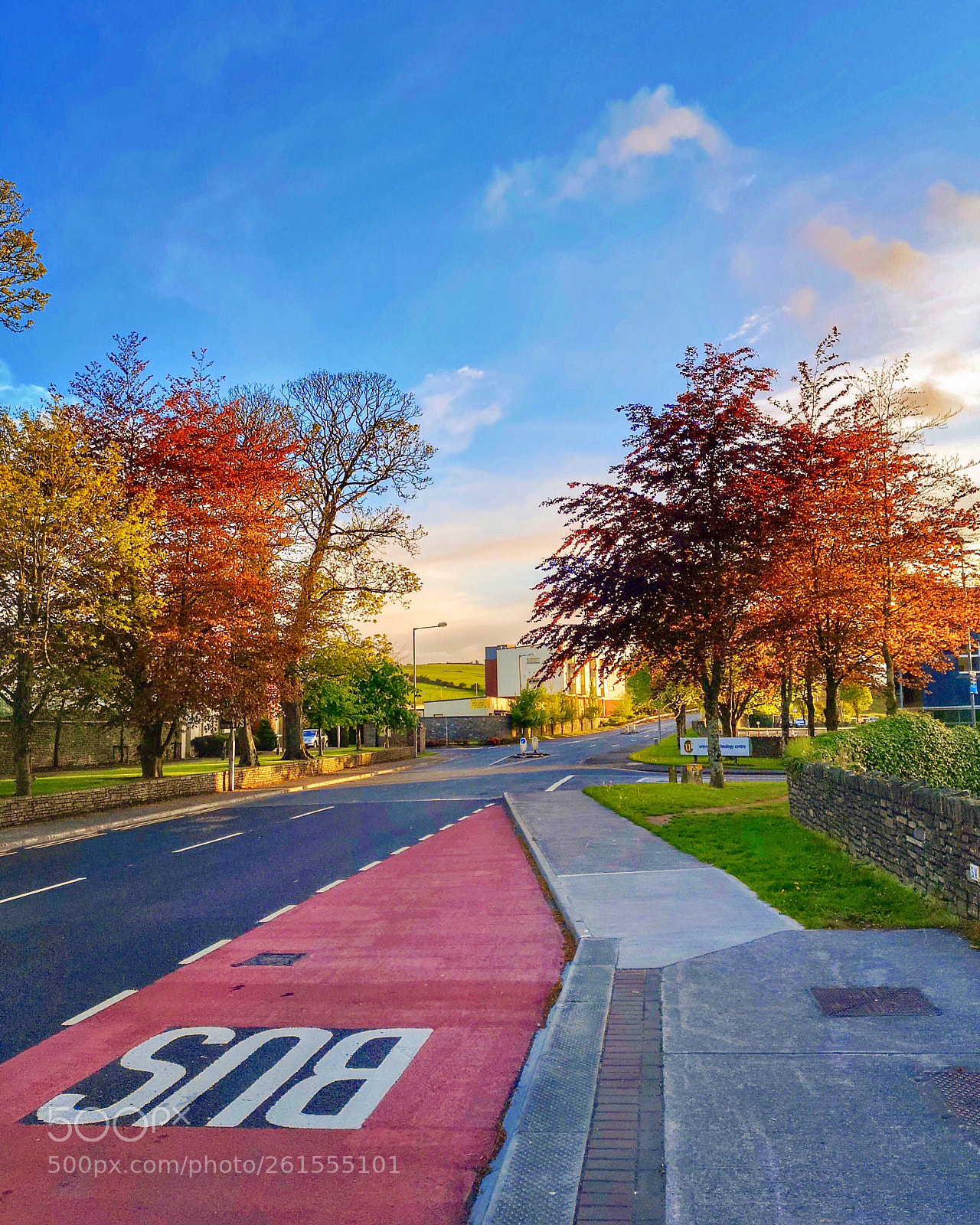 HUAWEI CLT-L09 sample photo. Cork in summer☀️ photography