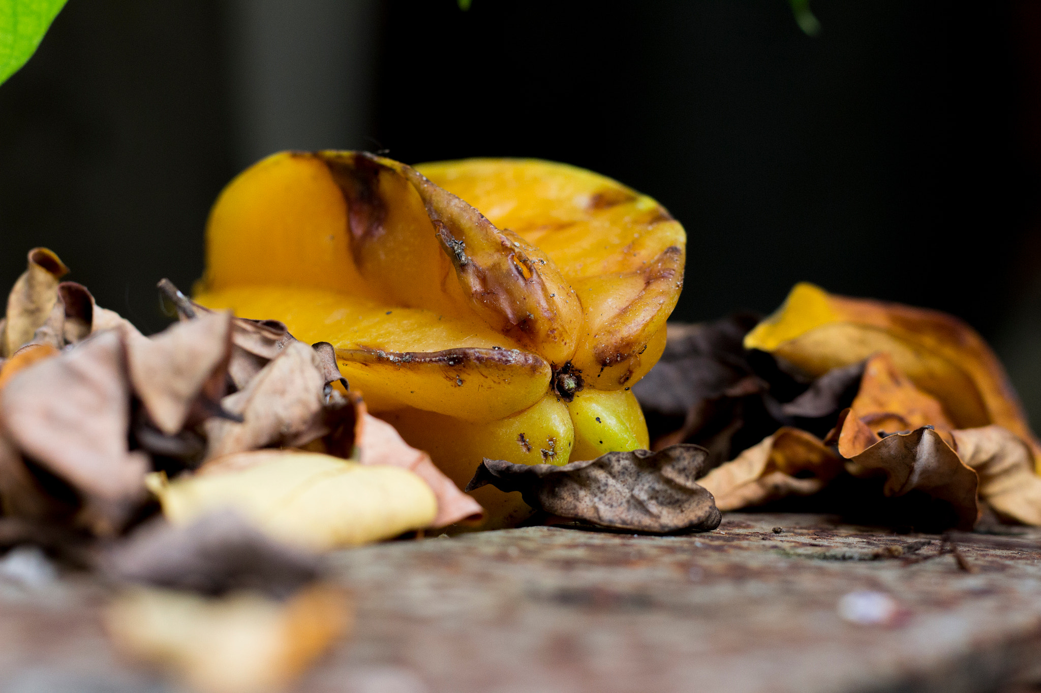 Canon EOS 700D (EOS Rebel T5i / EOS Kiss X7i) sample photo. Carambola. photography