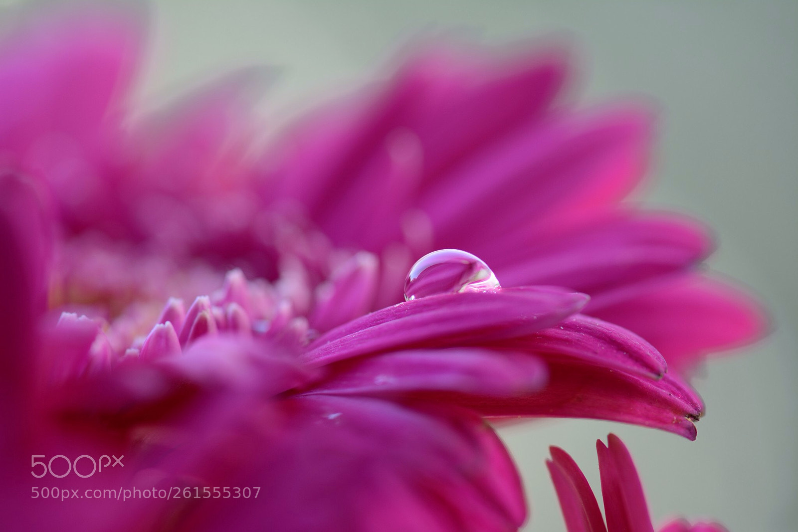 Nikon D5200 sample photo. Untitled photography