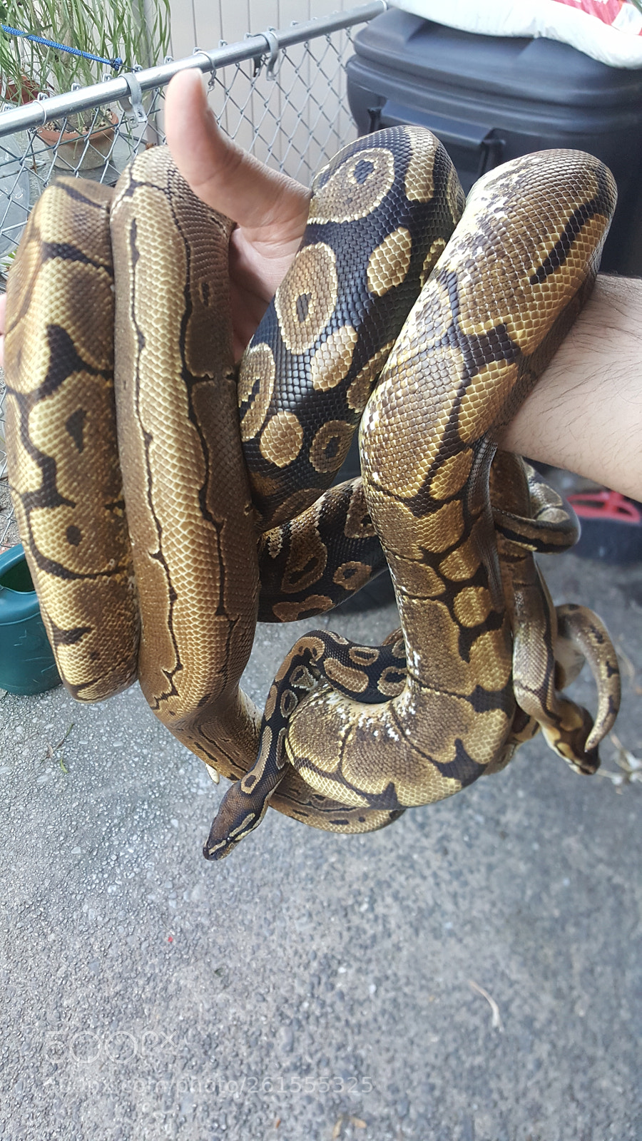Samsung Galaxy Note5 sample photo. Untitled photography
