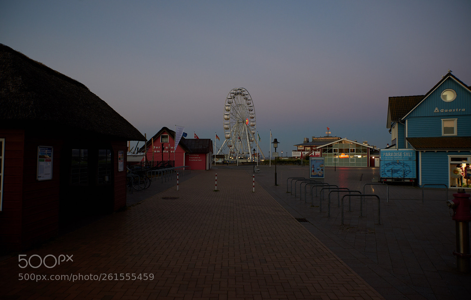 Nikon D750 sample photo. List photography