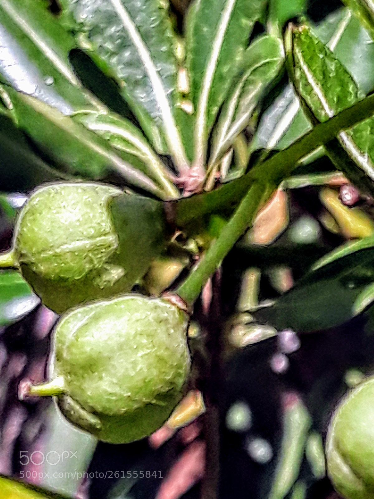 Samsung Galaxy J5 sample photo. Untitled photography