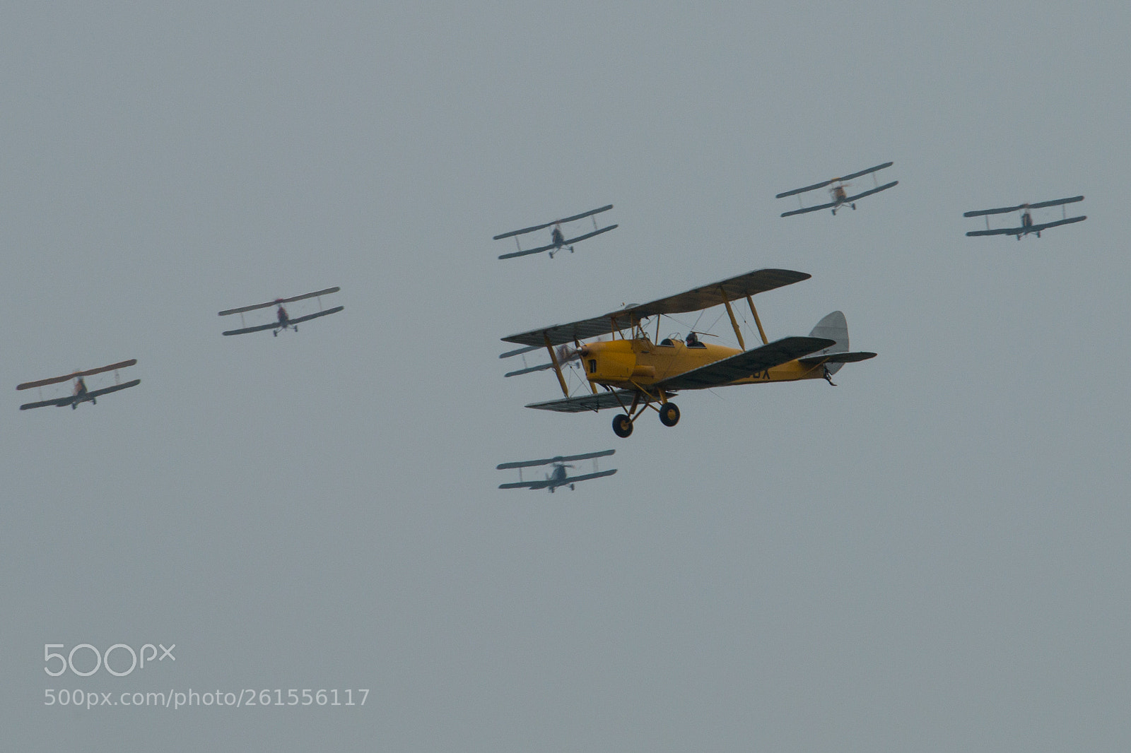 Canon EOS 70D sample photo. Tiger moth photography