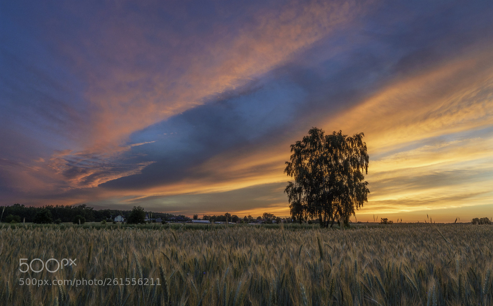 Nikon D5200 sample photo. Colorful sunset photography