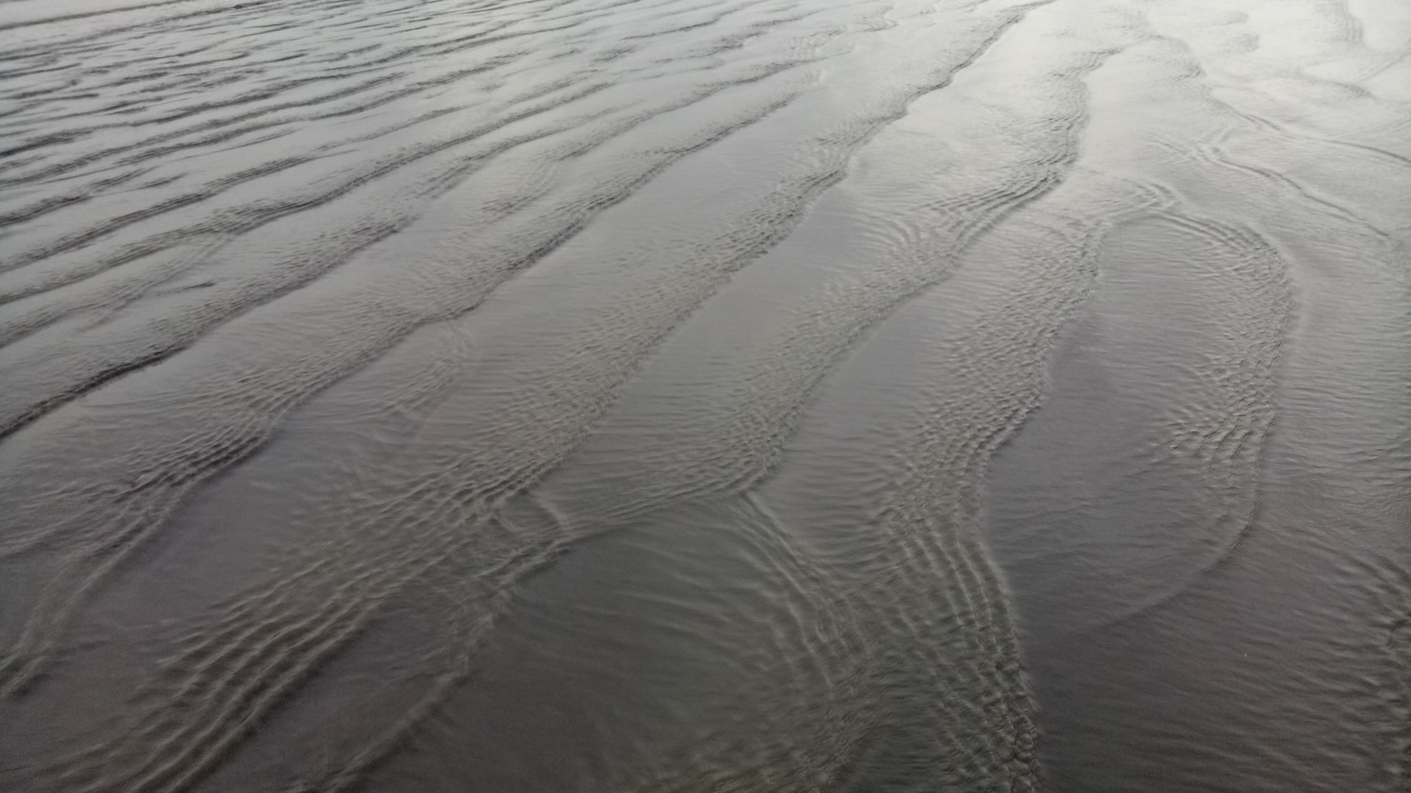 OPPO A1601 sample photo. Scales of the beach photography