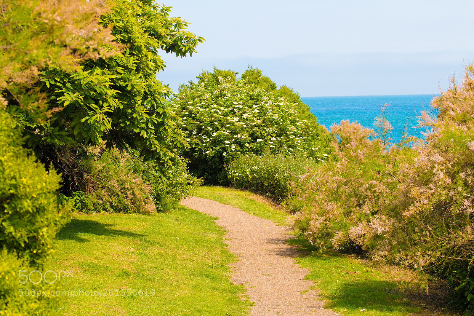 Canon EOS 70D sample photo. Lower leas coastal park photography