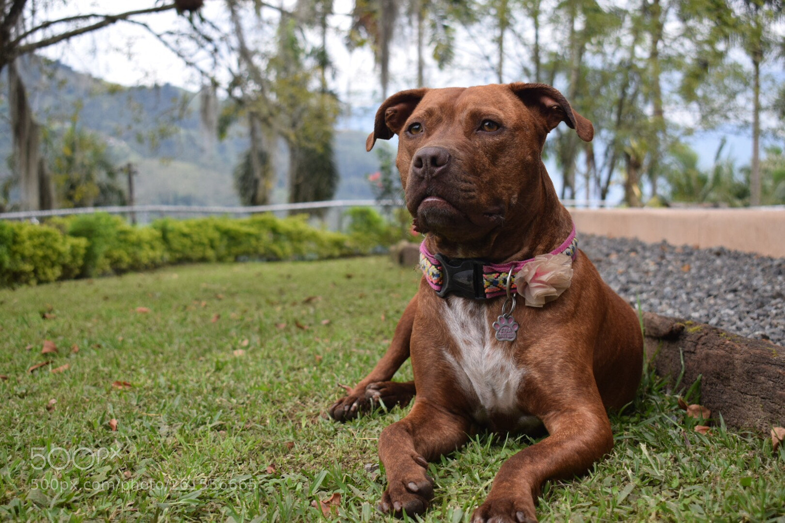 Nikon D5300 sample photo. La gorda photography