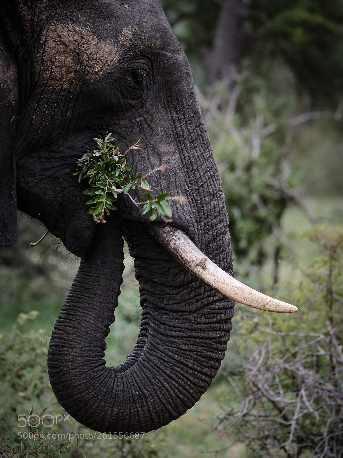 Fujifilm X-T2 sample photo. Lunch in south africa photography