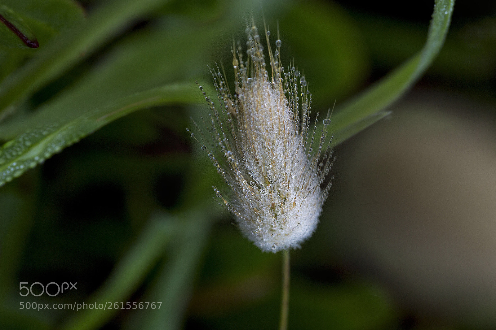 Canon EOS 6D sample photo. Alone  photography