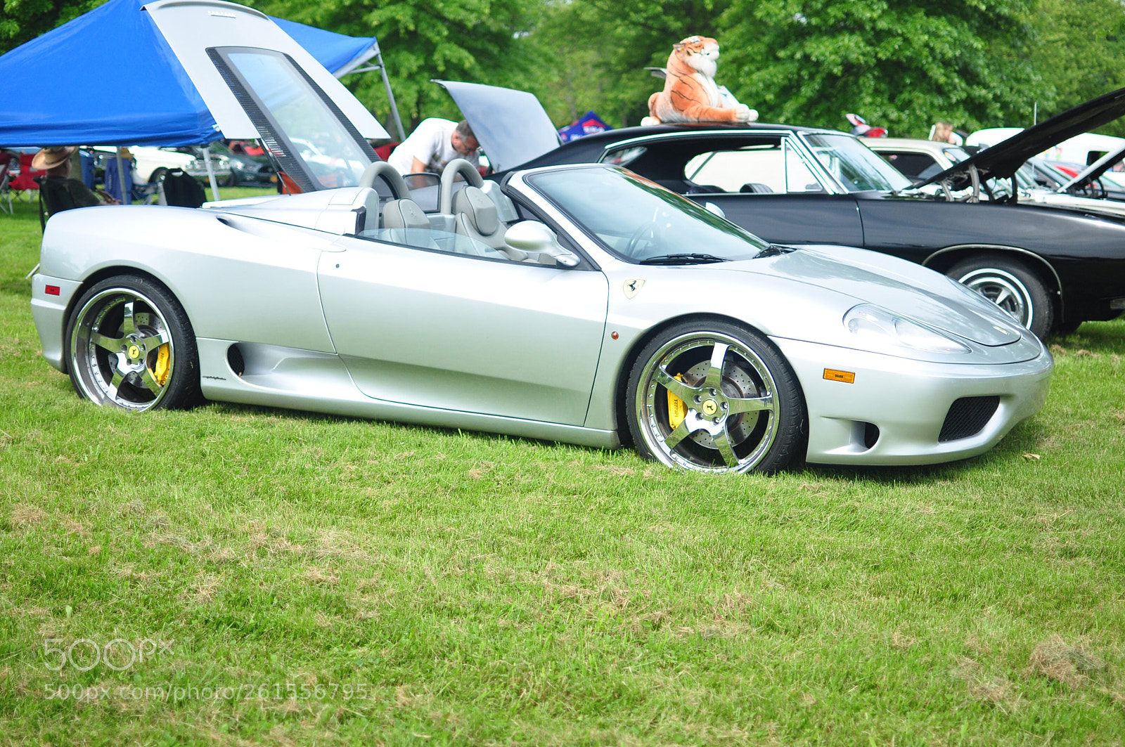 Nikon D90 sample photo. Fast and furious photography