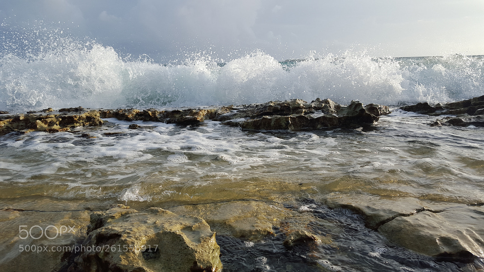 Samsung Galaxy S6 sample photo. Untitled photography