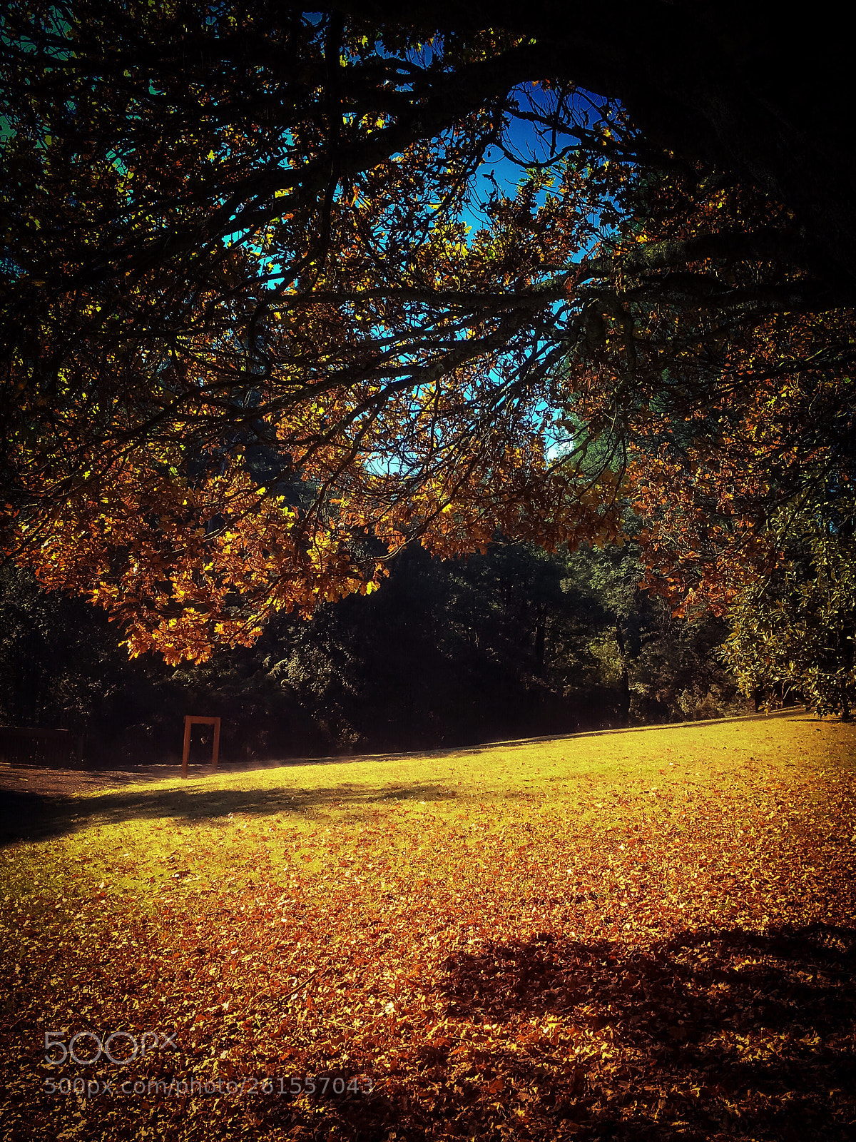 Apple iPhone 6s sample photo. Park  photography