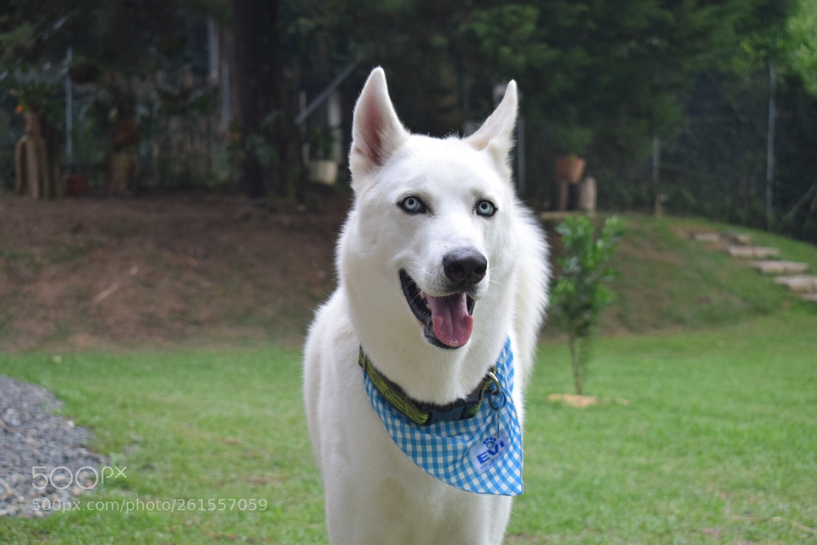 Nikon D5300 sample photo. El mono photography