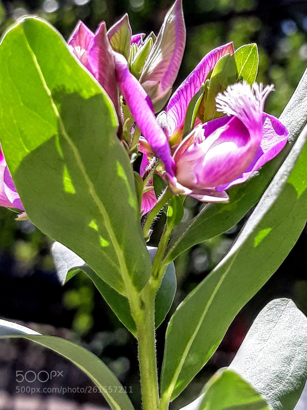 Samsung Galaxy J5 sample photo. Untitled photography