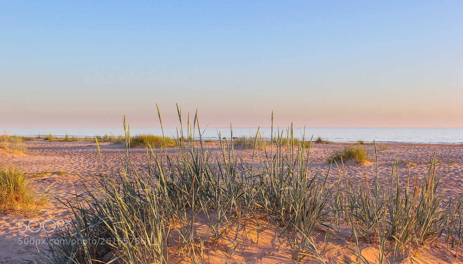 Canon EOS 550D (EOS Rebel T2i / EOS Kiss X4) sample photo. A tranquil coastal landscape photography